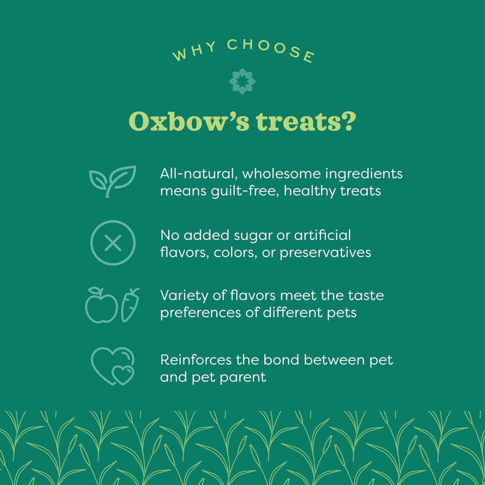 Oxbow Simple Rewards heno timothy en primer plano, fibra balanceada para mascotas.