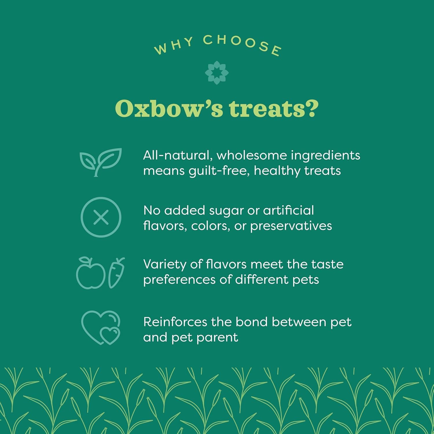 Ingrédients Oxbow: foin Timothy et carotte pour une collation naturelle.