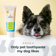 Gel dental Oxyfresh sin sabor para uso diario en perros y gatos.