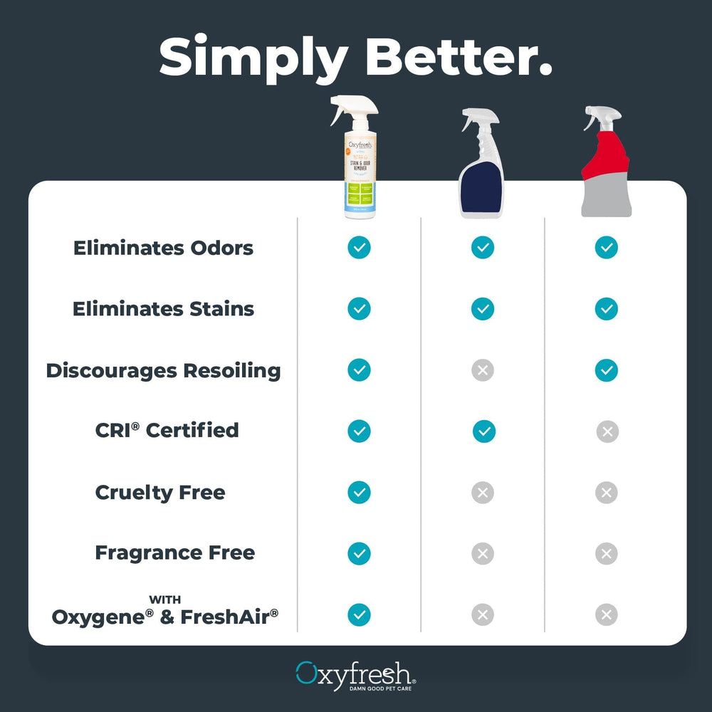 Oxyfresh solución para prevenir reaparición de manchas en alfombras.