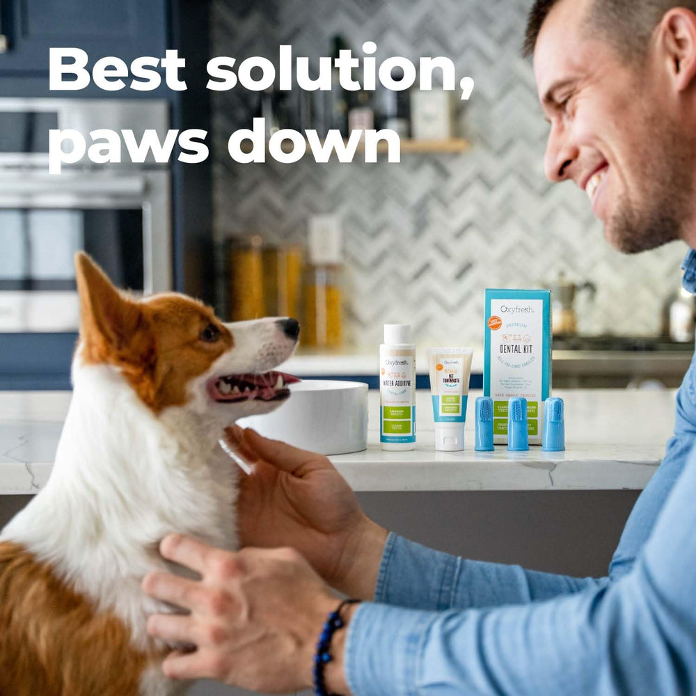 Pasta dental Oxyfresh con sabor neutro para mascotas exigentes.