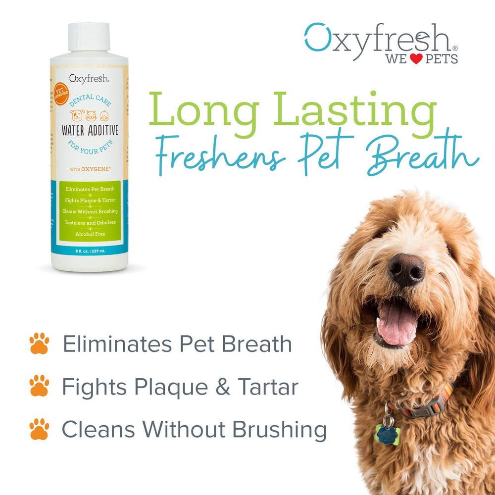 Oxyfresh cuidado dental para perros y gatos, sin cepillado, fácil de usar.