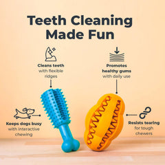 Oxyfresh Juguete dental con ribetes suaves para encías y dientes