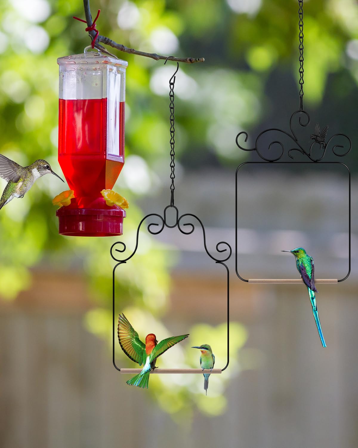 PACETAP columpios para colibríes, dos diseños, decoración atractiva en exterior