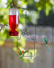 PACETAP columpios para colibríes, dos diseños, decoración atractiva en exterior