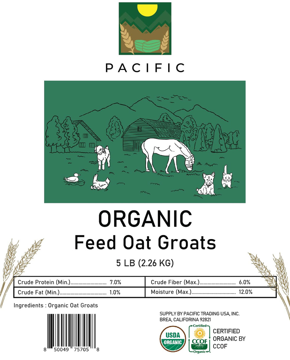 PACIFIC cuchara medidora para avena en grano