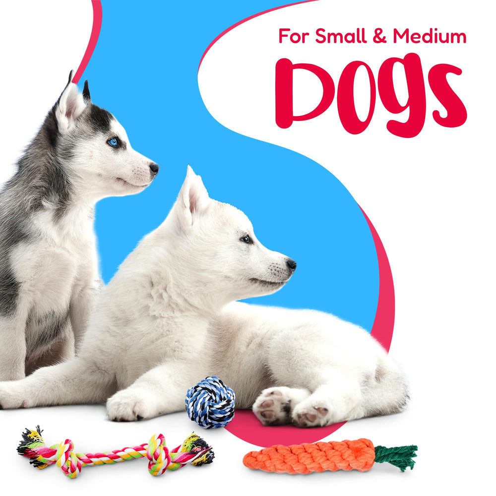 Pacific Pups cuerda para perro mediano, diseño resistente para juego activo