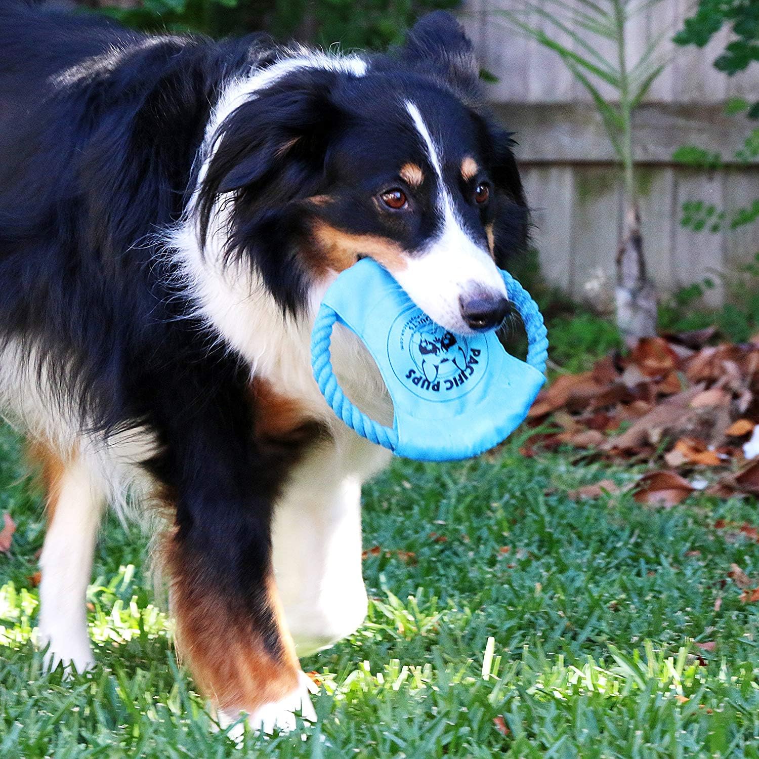 Pacific Pups Products, set de 11 juguetes de cuerda, ideal para sesiones de juego largas.