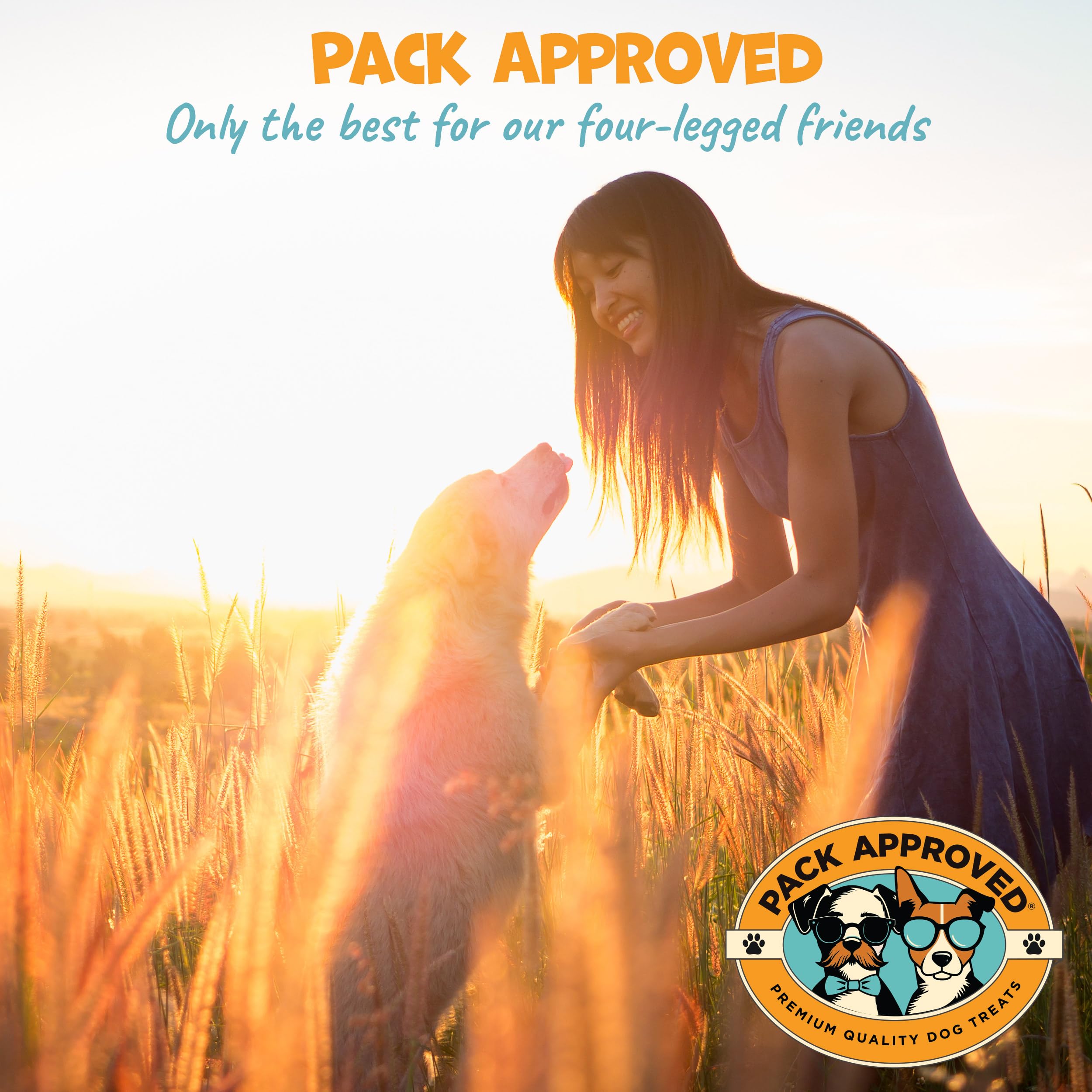 Pack Approved ideal para cachorros en dentición y juego.