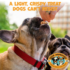 Trozo de Pack Approved Tripas de cordero para entrenamiento de perros activos.