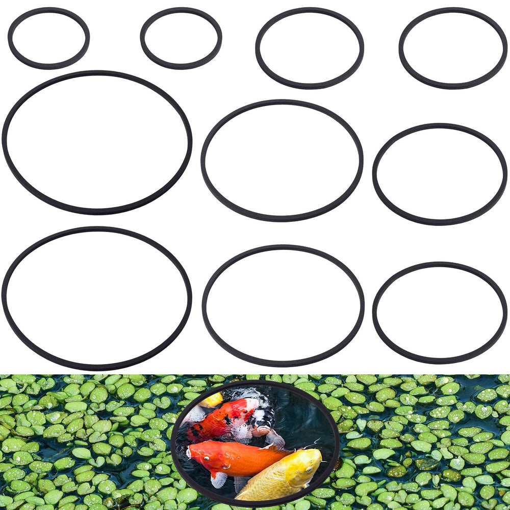 PAGOW anillo de alimentación para pez de 9 cm, mantiene la comida en su sitio