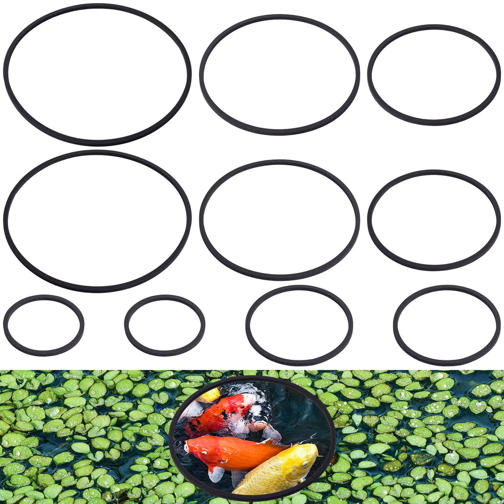 PAGOW anillos de alimentación para peces, 10 piezas negro, mantienen la comida concentrada.