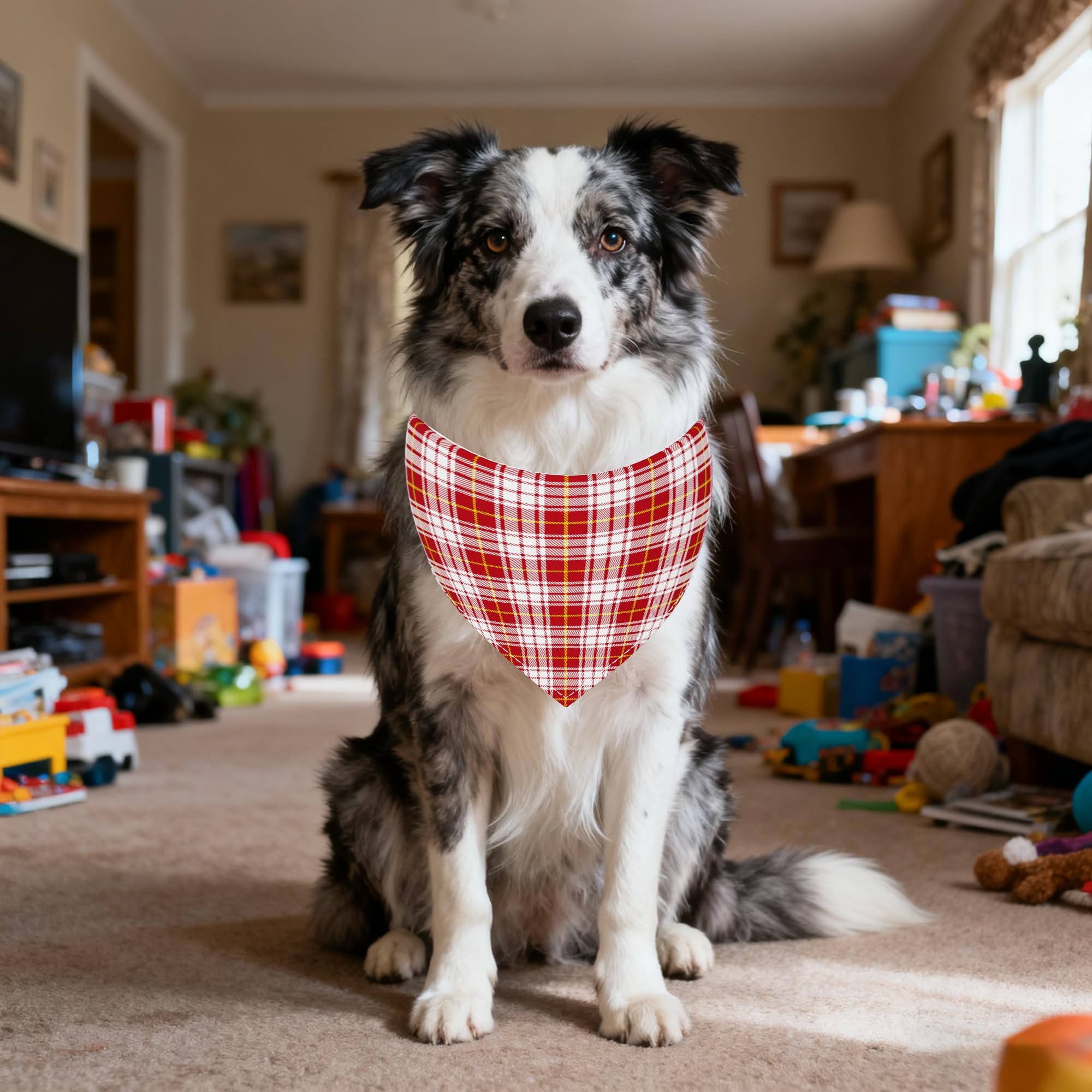 Pañuelo de cuadros Pai Sence, resistente y duradero para perros