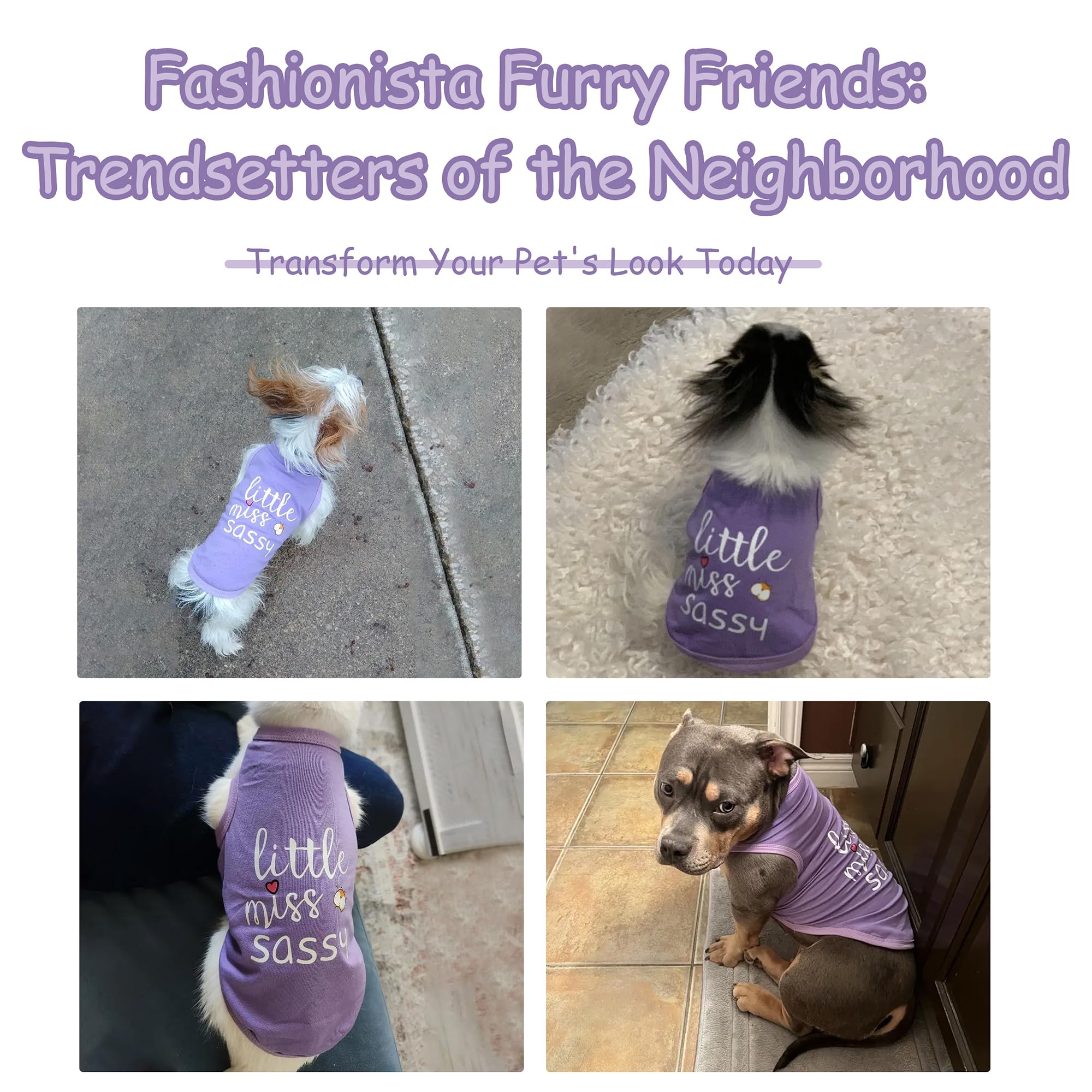 Paiaite Camisa para Perro con ajuste fácil, fácil de colocar.