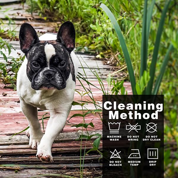 Paiaite camiseta para perros pequeños y medianos con cara del perro, estilo diario.