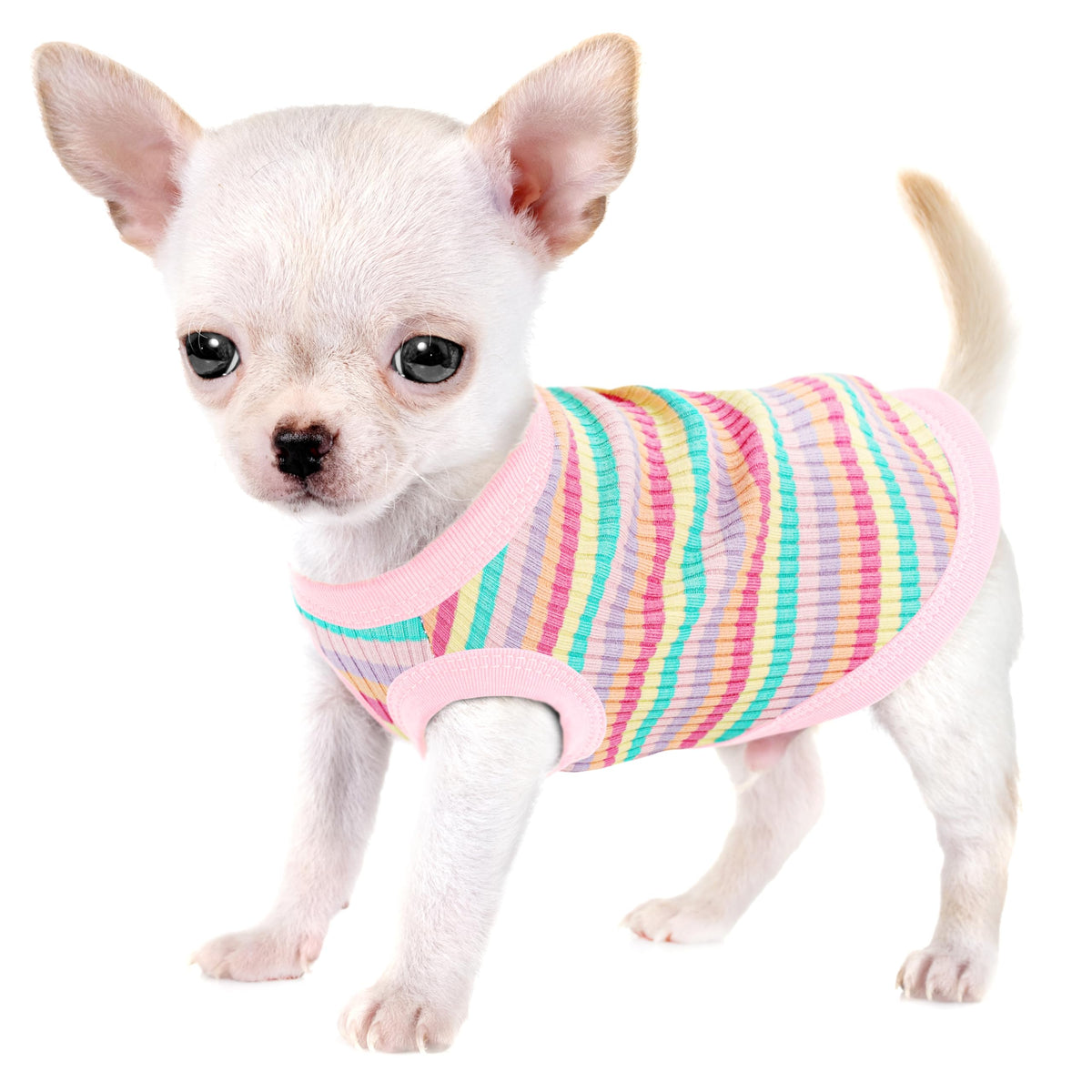 Paiaite camisa-perro-tanque-rosa-claro-01, ideal para paseos diarios con comodidad suave.