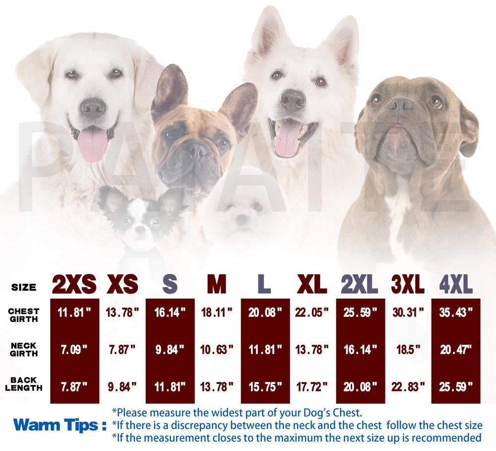 Paiaite camiseta para perros pequeños y medianos, ajuste cómodo.