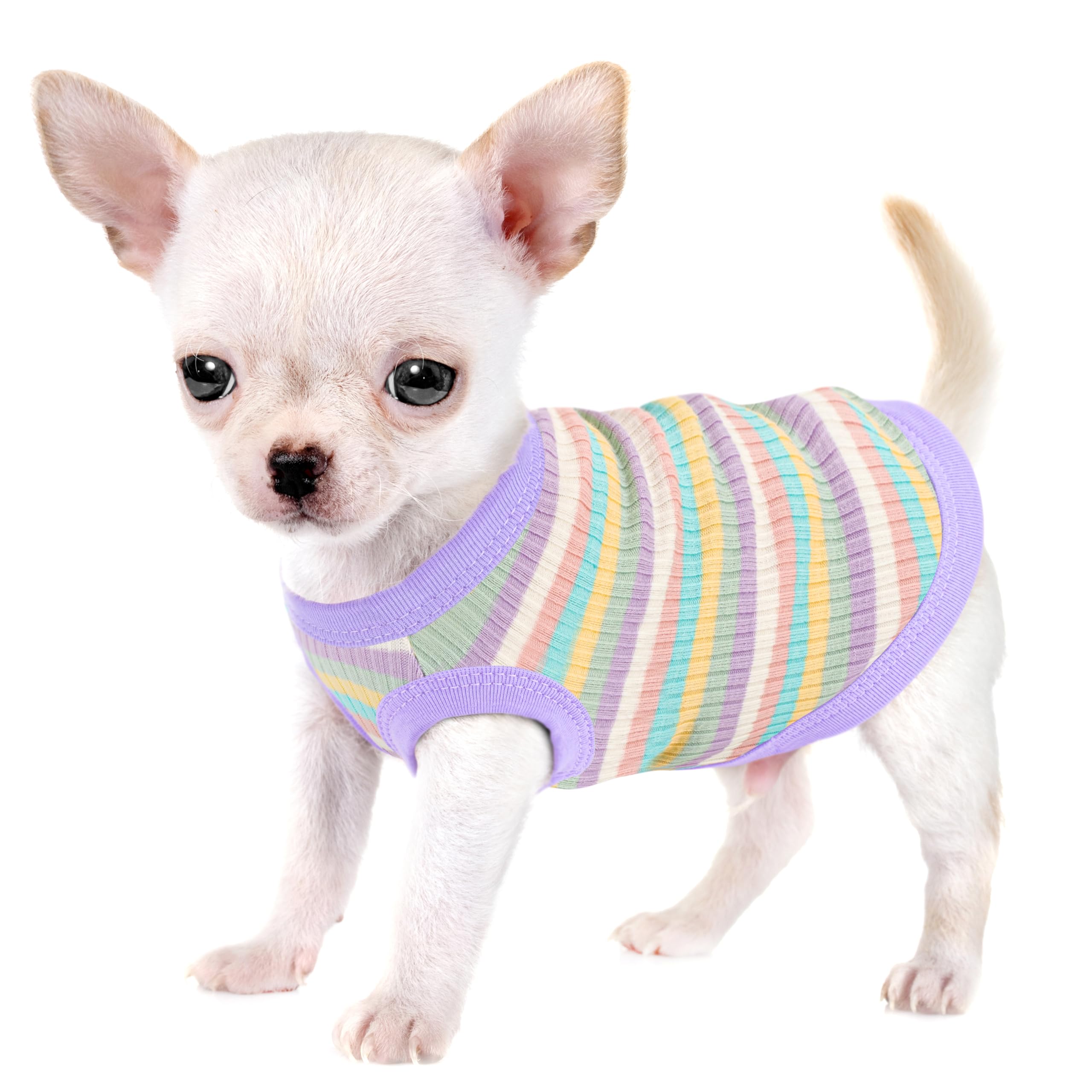 Paiaite camiseta de algodón rib para perro en violeta claro, cómoda para paseos diarios.