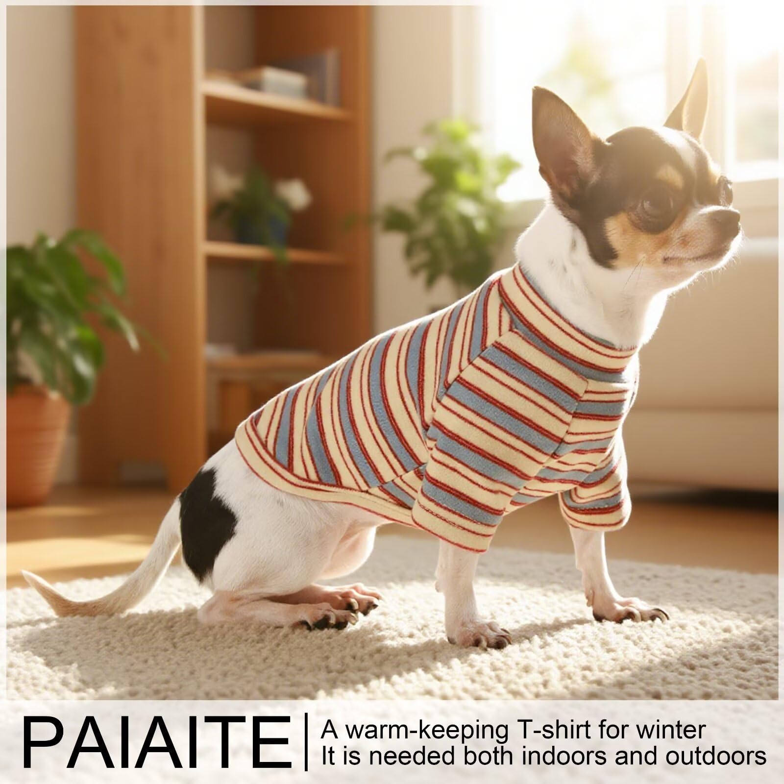 Paiaite camiseta para perro a rayas, perfecta para paseos y salidas nocturnas.