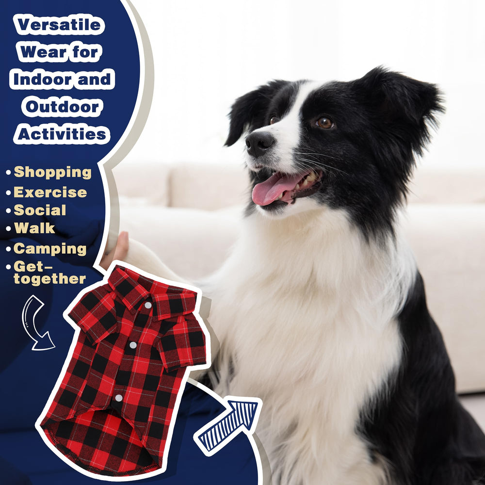 Camiseta Paiaite de talla media para perros, ideal para actividad diaria.