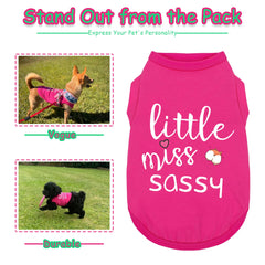 Paiaite chaleco perro Little Miss Sassy, diseño sin mangas facilita movimiento