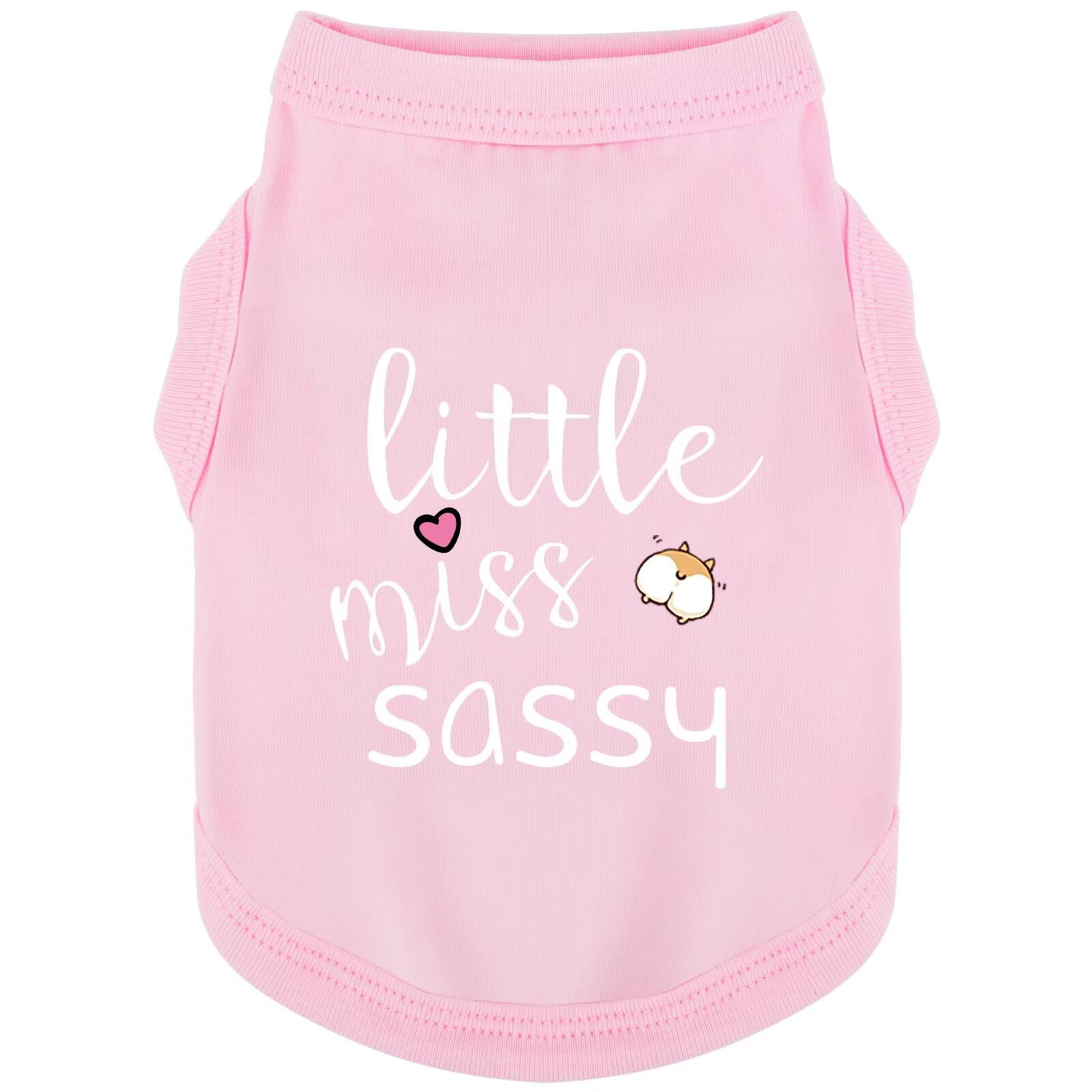 Paiaite chaleco para perro sin mangas con impresión pequeña-atrevida en rosa, ideal para paseos cómodos.