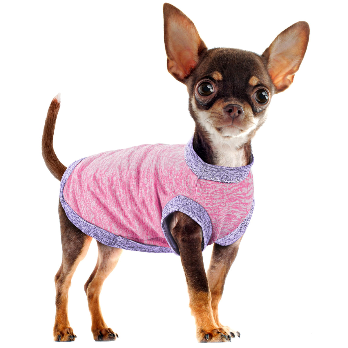 Paiaite Chic Ion chaleco para perros rosa, frente, transpirable para paseos diarios.