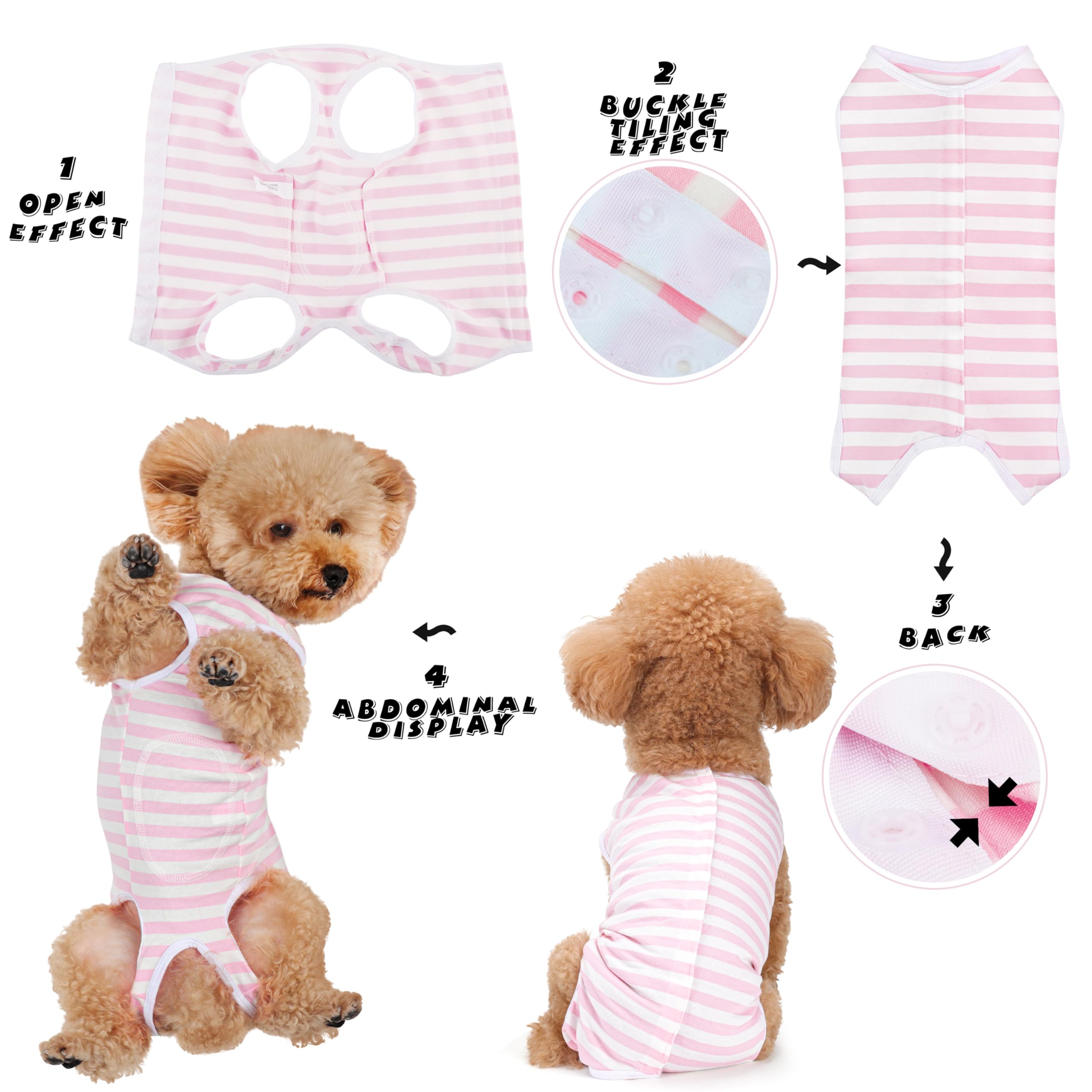 Paiaite diseño amigable para perros y gatos, cómodo y fácil de ajustar.