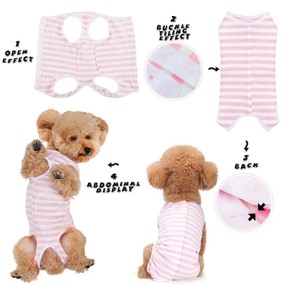 Paiaite diseño amigable para perros y gatos, cómodo y fácil de ajustar.