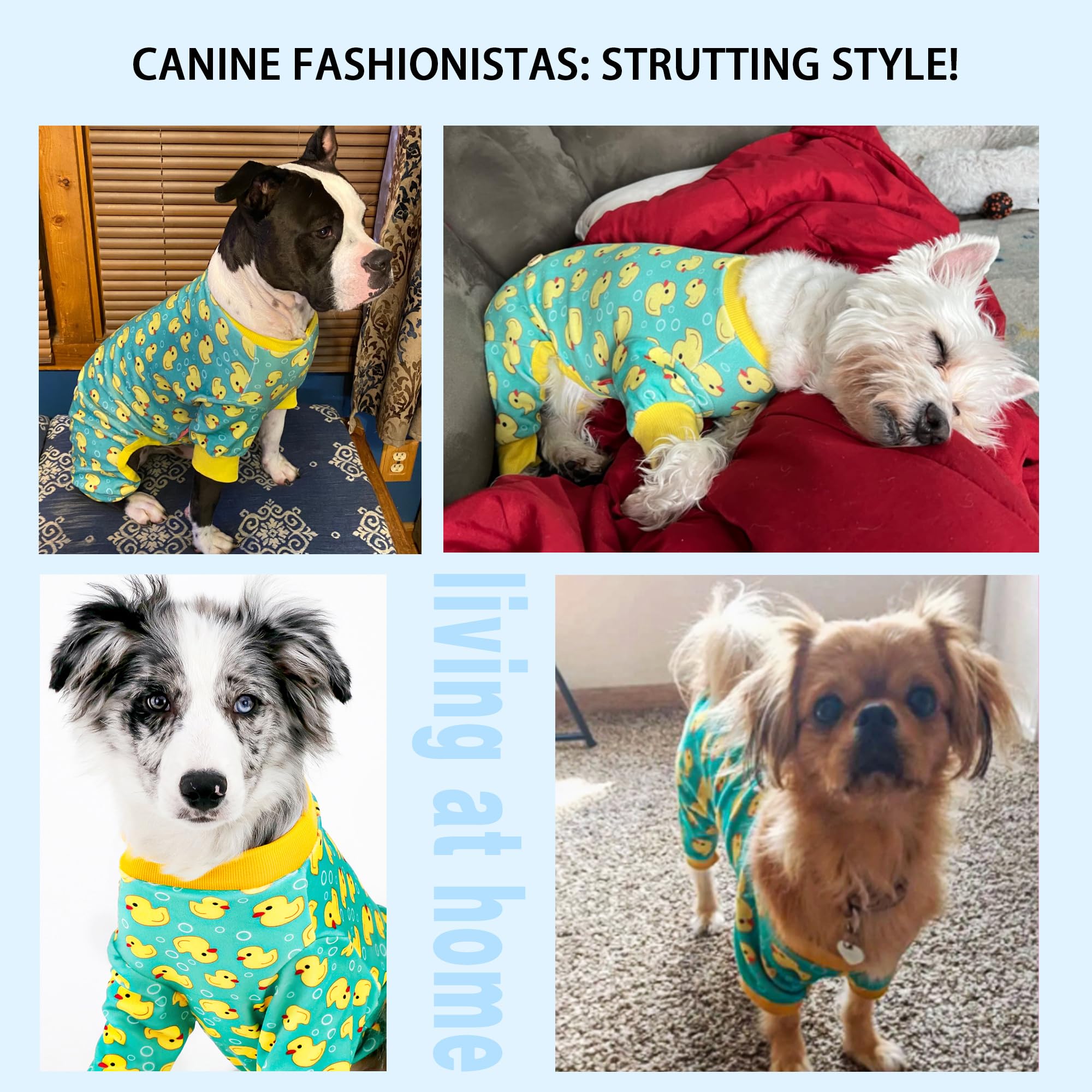Paiaite pijama de poliéster para perro, resistente a arrugas y uso diario.