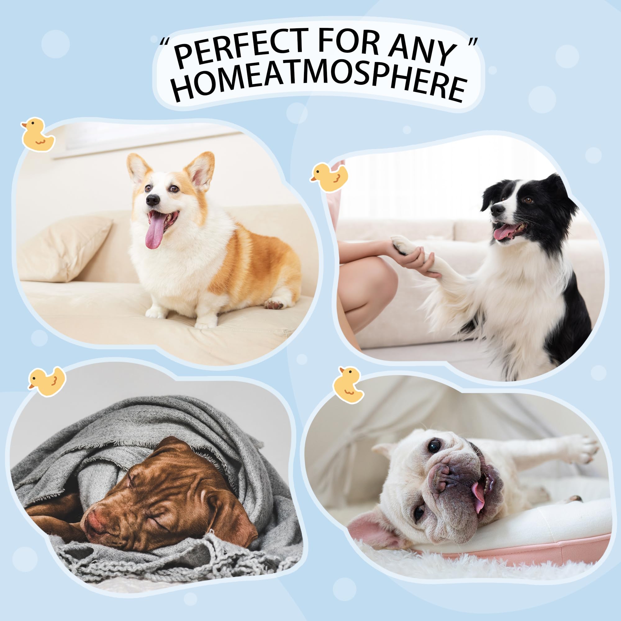 Paiaite Pijama para perro, uso interior y exterior para juego y descanso.