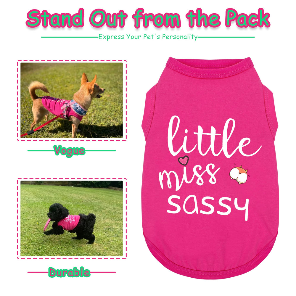 Paiaite prenda canina sin mangas con diseño rosa y impresión pequeña-atrevida para paseos activos.