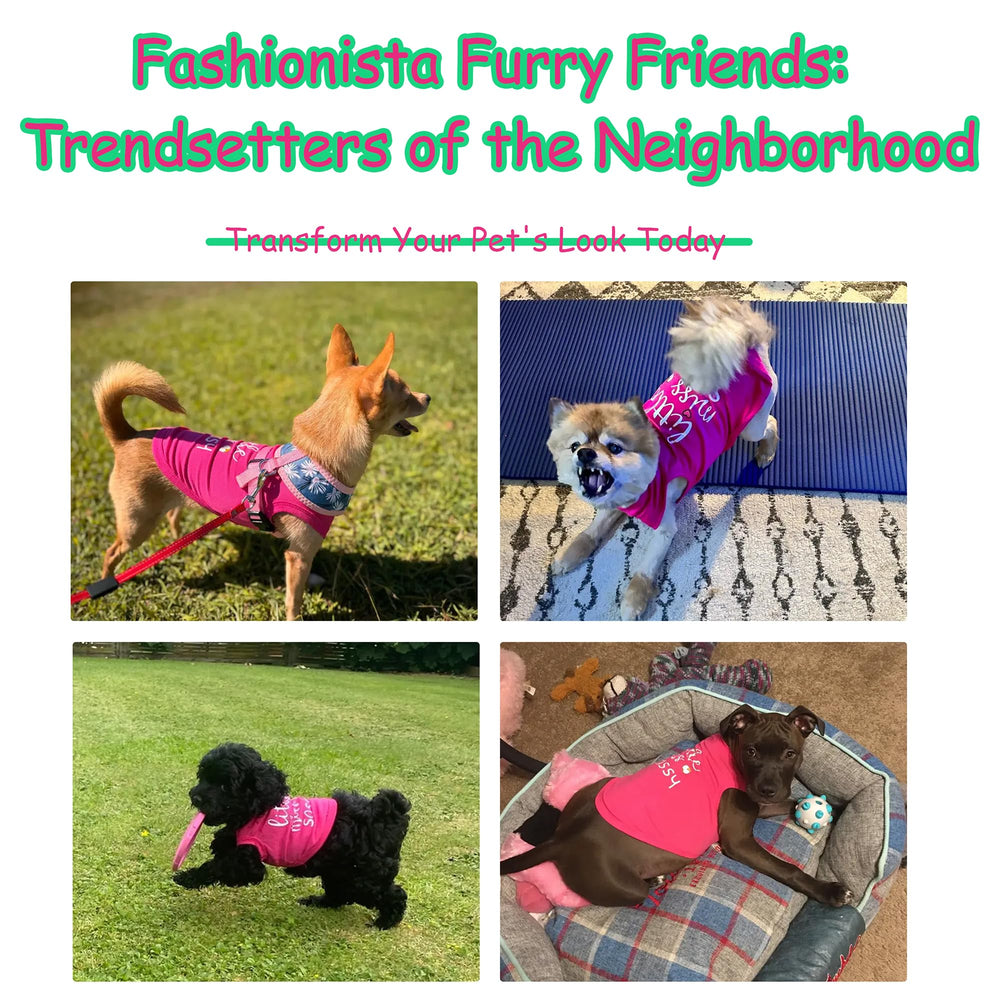 Paiaite prenda canina sin mangas rosa, diseño atractivo para entrenamientos y juegos.