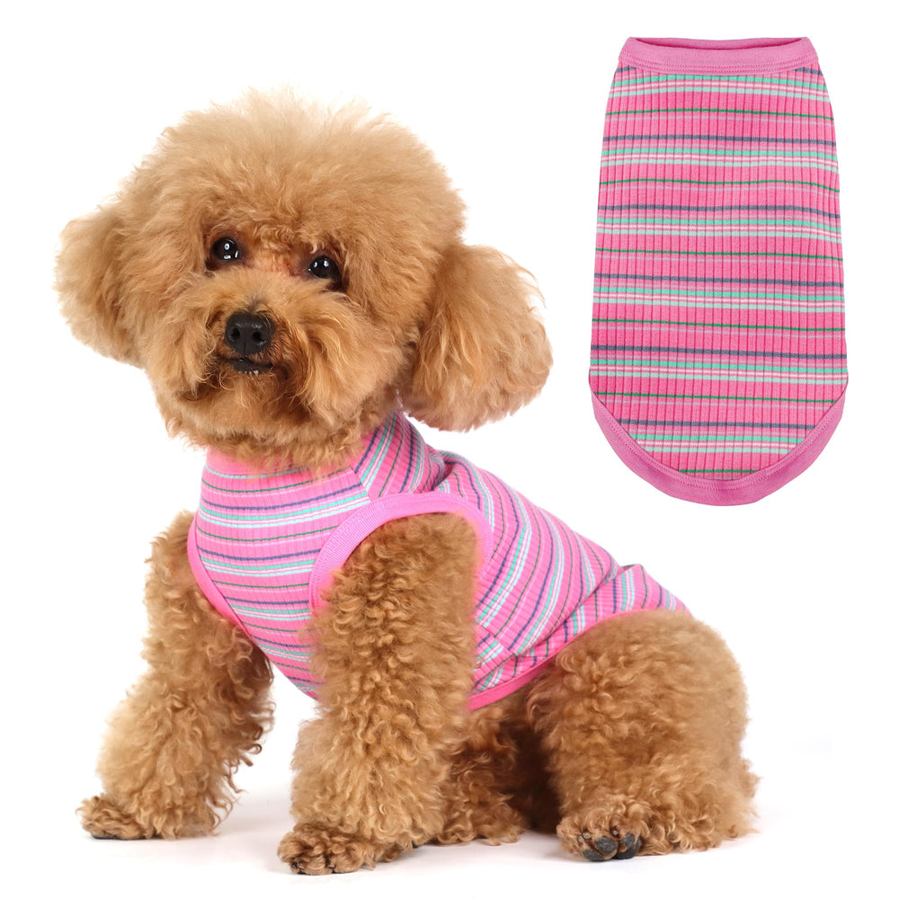 Paiaite ropa canina lavable a máquina, mantenimiento sencillo.