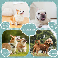Paiaite sudadera para perro pequeño vista dorsal, mantiene cálido durante salidas.