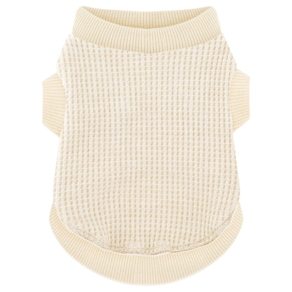 Paiaite sudadera para perro pequeño frente, ajuste cómodo para paseos fríos.
