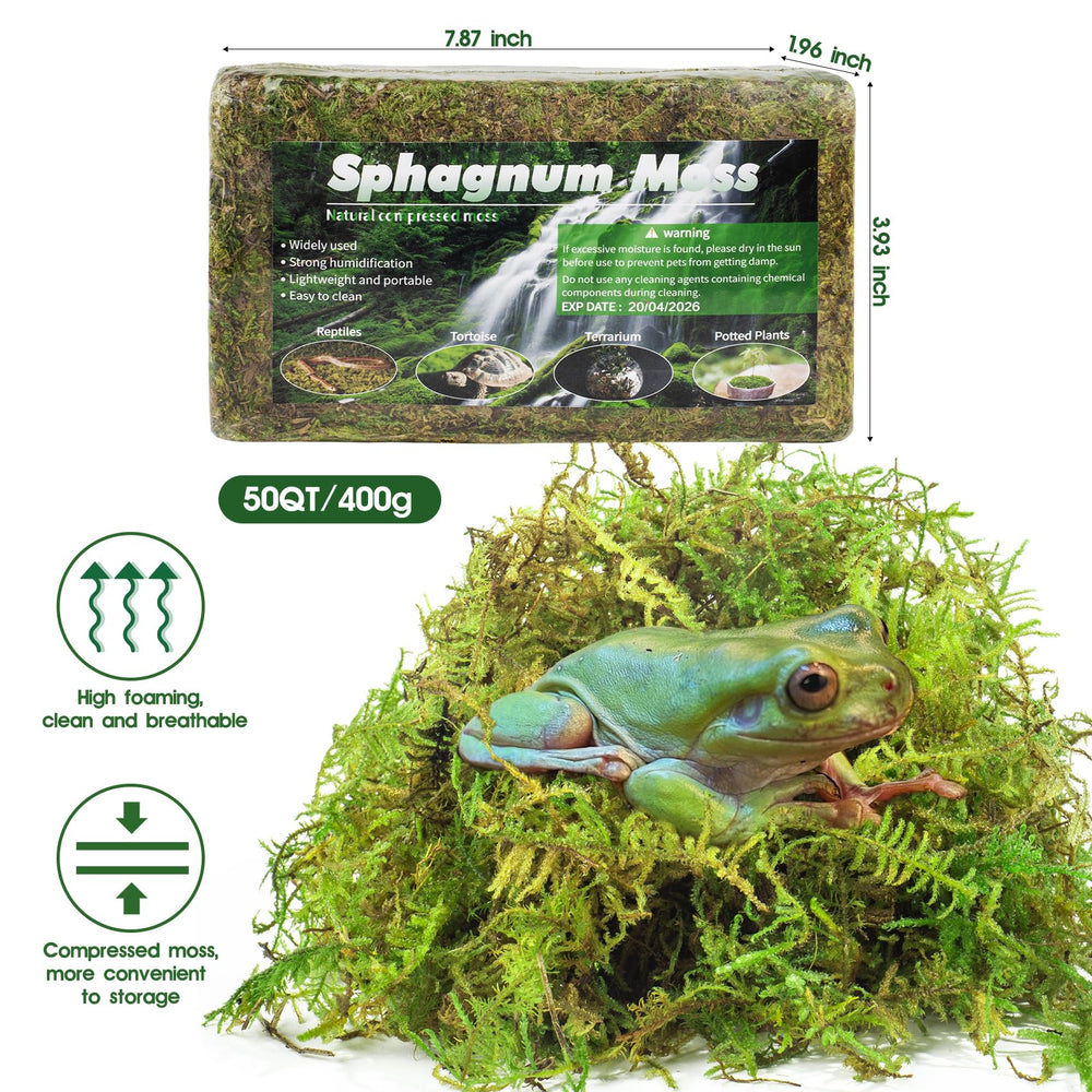 Pakimi musgo sphagnum para incubación de huevos, ambiente estable.