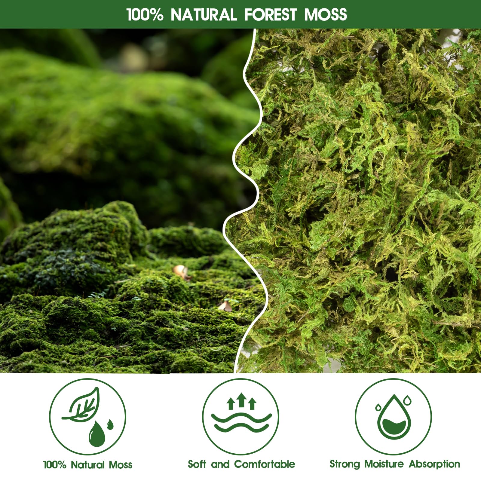 Pakimi musgo sphagnum para nidos de reptiles, superficie suave.
