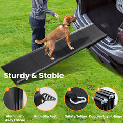 Rampa PALATALA de 63x17-pulgadas, longitud ideal para perros grandes.