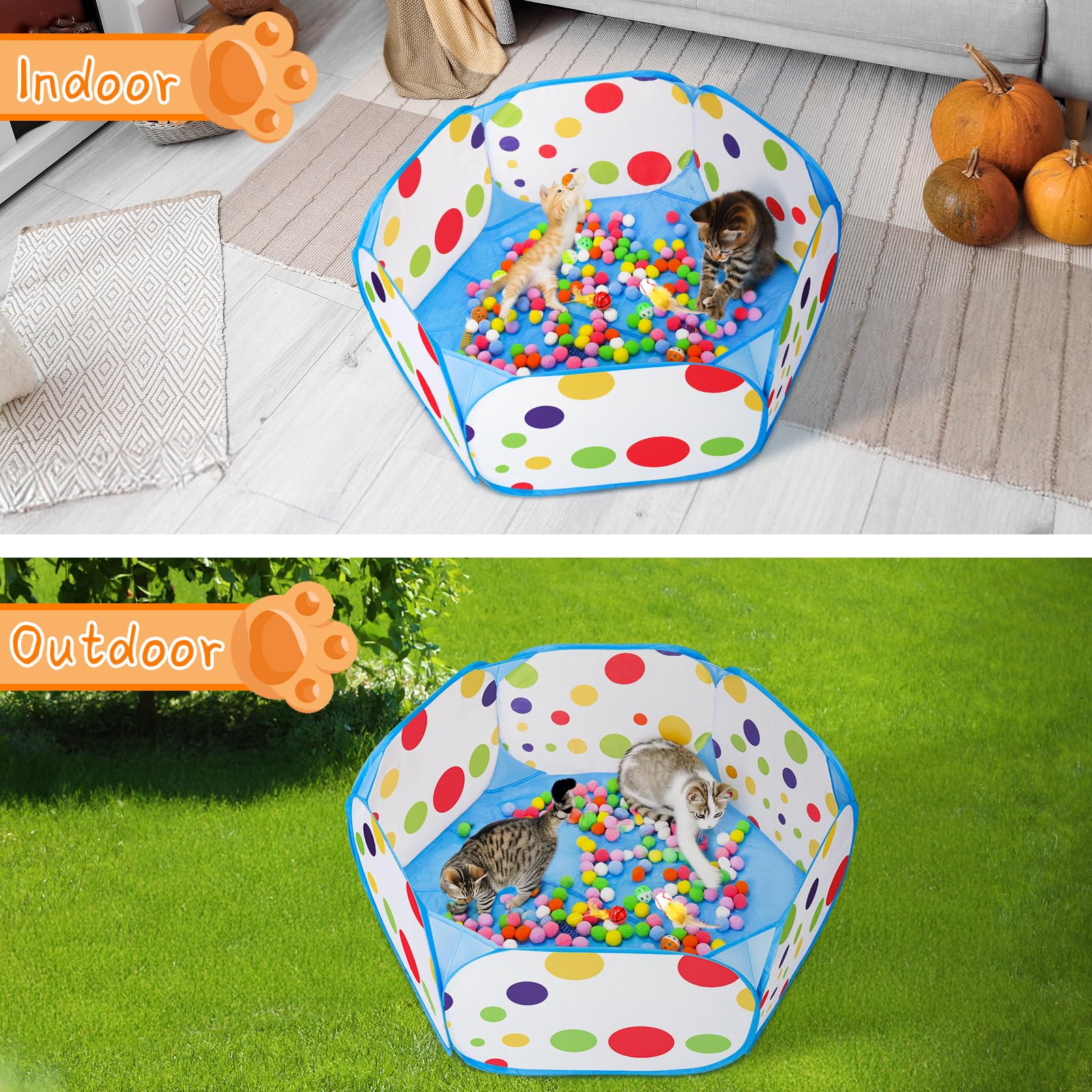 Palksky set completo de juego para gatos con piscina y accesorios variados.