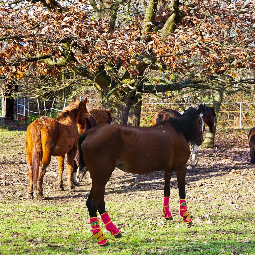 Botas Paloura para caballo con cierre de velcro, ajuste rápido y seguro.