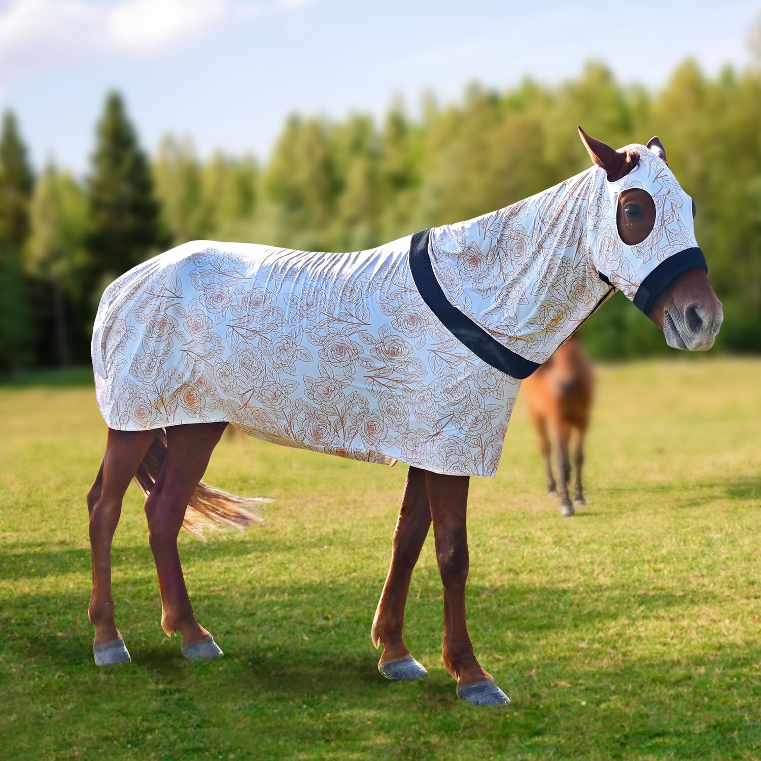 Paloura manta de cuerpo completo para caballo, vista general y protección ligera.