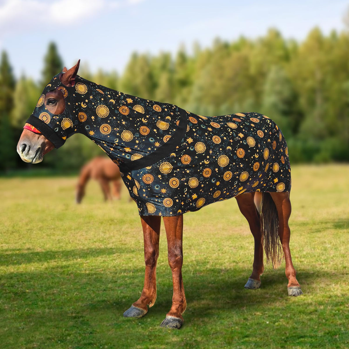Paloura Slinky caballo con capucha muestra ajuste cómodo y cobertura total.