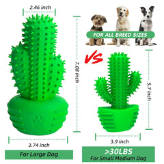 Pamlulu juguete masticable con sonido para higiene dental