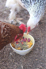 Polvo para aplicación en el piso de nido con Pampered Chicken Mama Best Eggs Ever