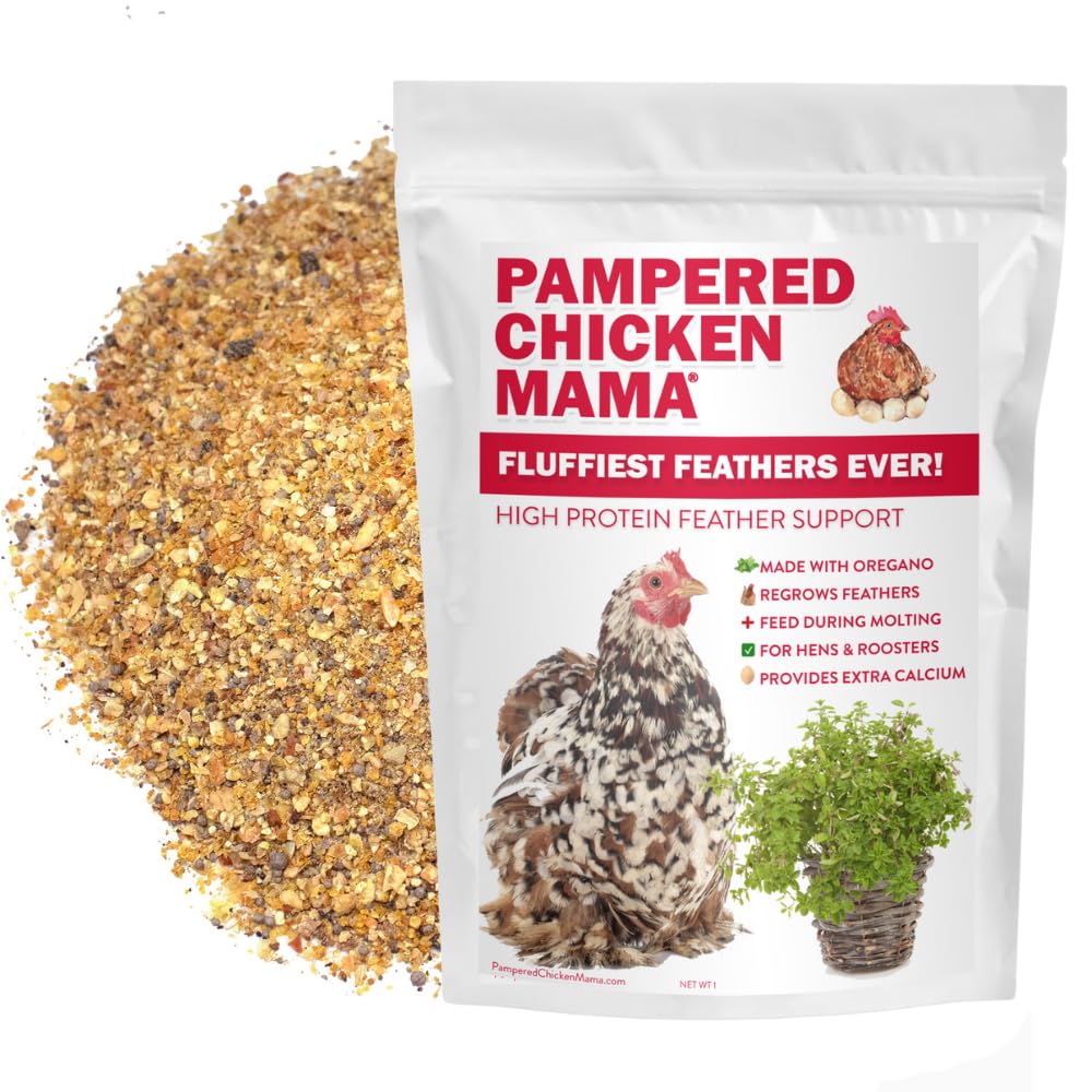Pampered Chicken Mama: suplemento para gallinas con plumaje sano y esponjoso.