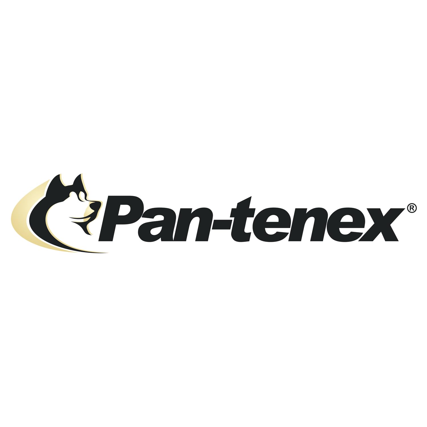 Pan-tenex enzimas digestivas para perros, posibles apoyos a la absorción de nutrientes