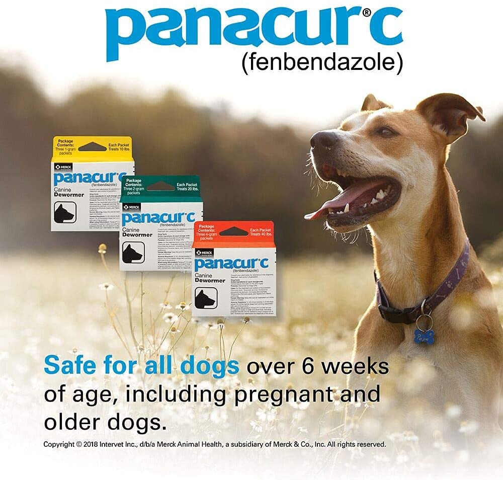 Panacur C: seguro para perros de 6 semanas o más, incluidas gestantes.