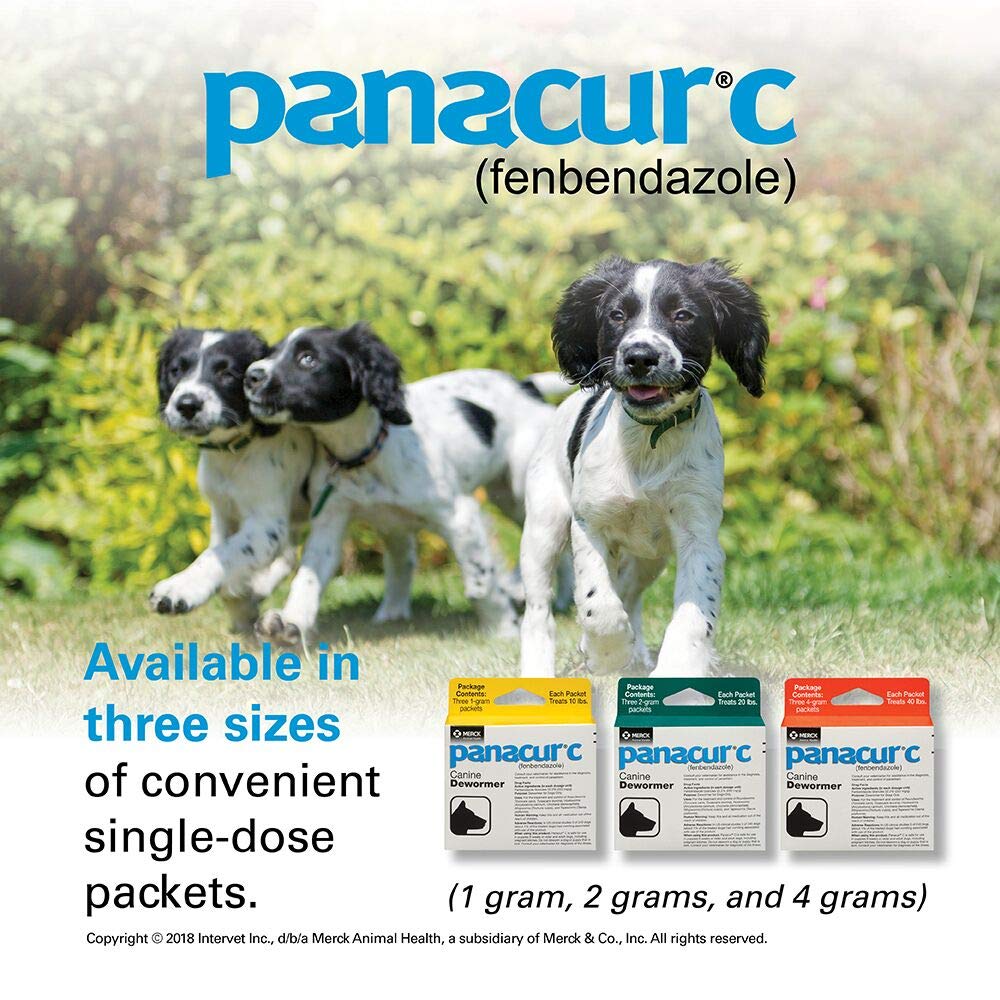 Panacur C, consulta veterinaria para diagnóstico y control