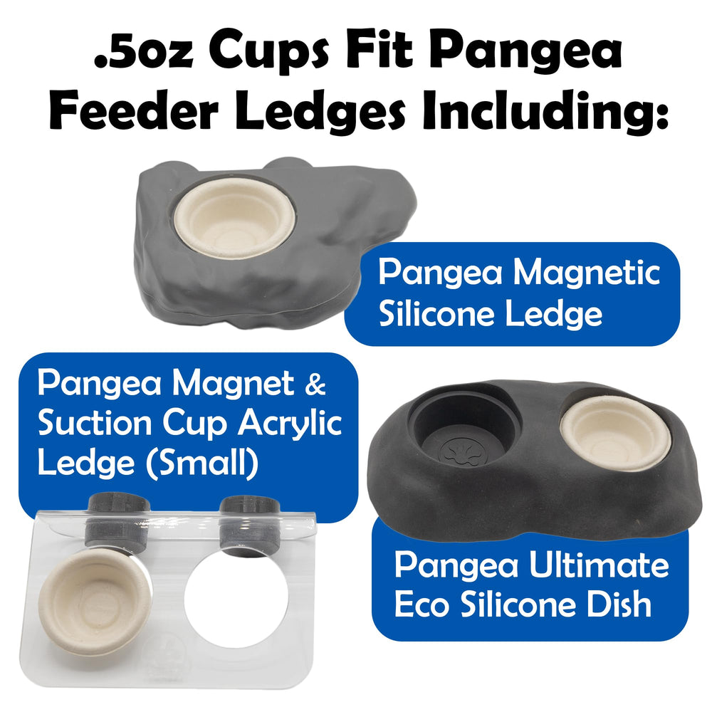 Soporte de piedra dual para copas gecko de Pangea.